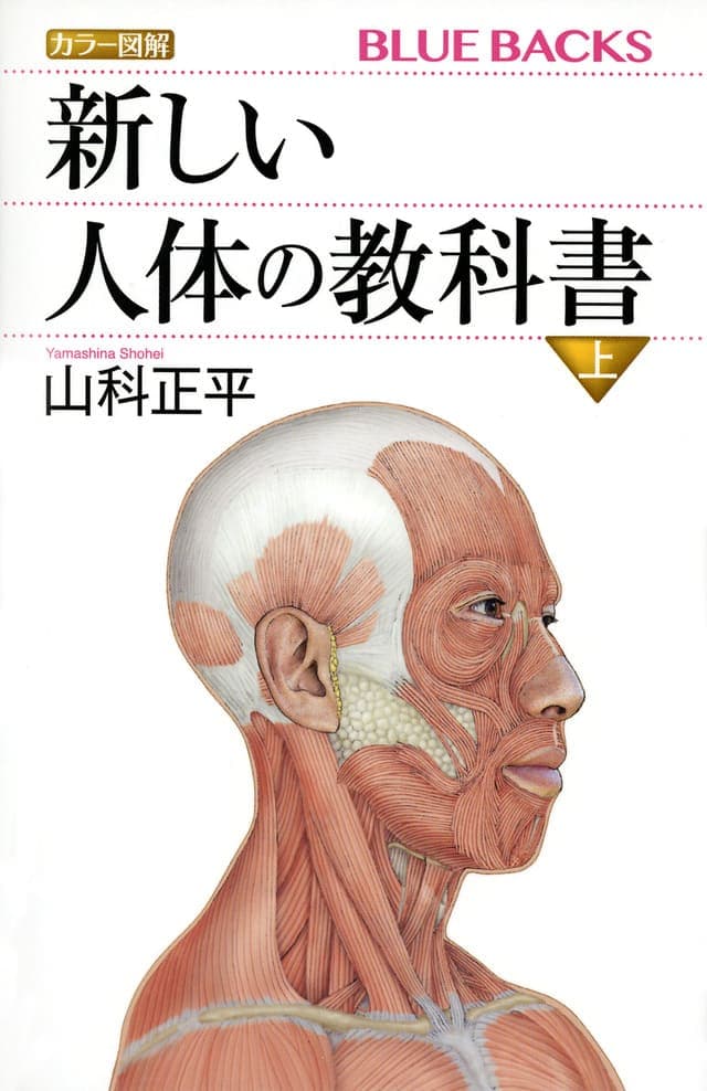 カラー図解 新しい人体の教科書 上