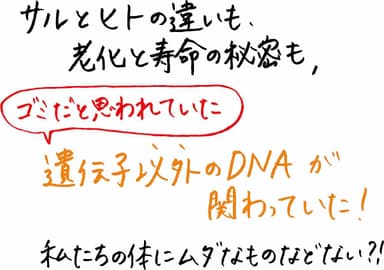 ＤＮＡの９８％は謎_POP